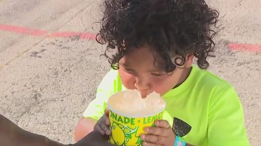 Wisconsin State Fair favorites
